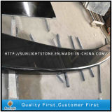 Absolute Shanxi Black Granites Bench Tops for Garden Decoration