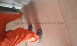 Iicl 28mm Container Flooring, Shipping Container Wood Plywood, Container Steel Parts