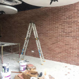 Soft Heat Insulation Red Brick for Interior Wall