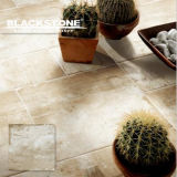 600X600 Cement Series Rusitc Tile for Floor or Wall (BGDMA66250)
