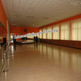 China Facroty Sale PVC/ Vinyl Roll Flooring for Indoor Dance Room