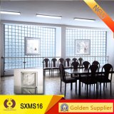 Clear Glass Brick Building Material Wall Tile Glass Block (SXMS16)