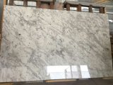 Andromeda White Granite Polished Tiles&Slabs&Countertop