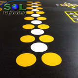 SGS Tested Heavy Duty DIY Logo Gym Rubber Flooring