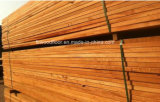 1800mm Kempas Long Plank Timber Hardwood Flooring