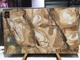 Espinella Gold Quartzite Polished Tiles&Slabs&Countertop