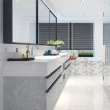 300X600mm Inkjet Glazed Interior Tile Building Material Ceramic Wall Tile