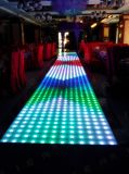 Hot Designed 60*60cm LED Digital Dance Floor for DJ Equipment