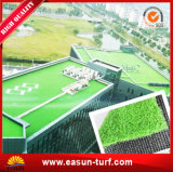 Cheapest Decorative Green Artificial Grass for Roof