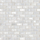 Freshwater Shell Mother Pearl Pure White Bevel Edge 10*20mm Mosaic Tile