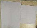 300GSM Double Side Uncoated White Color Duplex Paper Board
