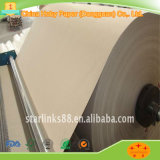 Best Price and Good Quality Brown Kraft Paper for Greenhouse Cellulose Pad