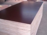 Urea-Formaldehyde Glue Bamboo Plywood (16mm)