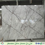 New Product White Marble Slabs/Tiles with Veins