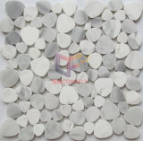 Pebble Stone White Marble Mosaic Tile for Wall and Floor (CFS1176)