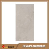 Foshan Supllier 600*1200mm Full Body Marble Tile (3-61257)