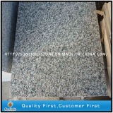 Cheap Polished Rosa Beta G623 Grey Granite Floor Tiles