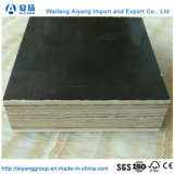 28mm Marine Plywood Container Plywood Flooring