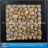 Natural Yellow Pebble Stone on Mesh for Garden Road