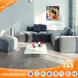 Hot Sale AAA+Grade Rustic Porcelain Flooring Tile 600X600mm (JV6713D)