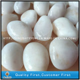 Natural Stone Cobble/Pebble Stone for Garden/Landscaping Decoration