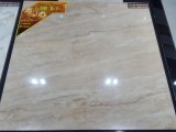 66A2201q Glazed Porcelain Tile/Floor Tile/Wall Tile/Marble Tile/600*600 with 1% Water Absorption