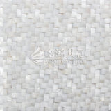 Freshwater Shell Pure White Arch Face Rectangle Mosaic Tile