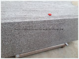 China Wholesale Supplier Popular Brown Granite G664 for Countertop