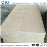 28mm Hardwood Container Plywood Floor for Dry Container Repair