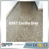 Polished New Color Granite Stone Floor Tile for Flooring / Wall