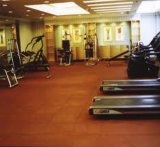 PVC Gym Flooring, Professional PVC Gym Flooring