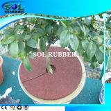 Outdoor High Quality Rubber Tree Ring Rubber Tile