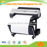 Hot Salel Plotter Paper in Roll Superior Quality