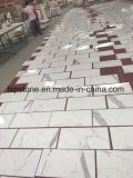 Polished Marble/Granite Tile for Floor Tile/Flooring Tile/Paving Stone/Stair/Tread/Window Sill/Countertop/Wall Tile
