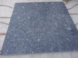 Butterfly Green / China Granite Tile for Wall / Floor