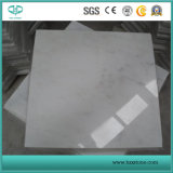Oriental White Marble Slabs/Tiles for Wall Cladding/Flooring/Countertops