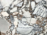 China Calacatta Purple Marble Tile for Floor, Countertop and Wall