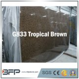 Brown Stone Granite Tile for Project Polished & Flamed, Bush Hammered