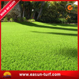 8-10 Years Always Green Artificial Grass Supplier