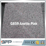 Granite & Marble Stone Floor Tile / Flooring/Stair/Step Tile