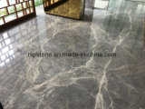Marble/Granite/Quartz/Travertine/Sandstone/Mosaic Stone Tile for Floor