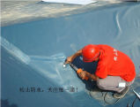PVC Swimming Pool Liner / Buiding Material Waterproofing Sheet Membranes