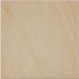 Brown Color 300X300 Glazed Floor Tile Bathroom Kitchen Tile Sample