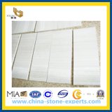 Wooden White Marble Stone Tiles for Wall, Floor, Countertop