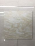 China 300*300mm Glazed Rustic Tiles (9041)
