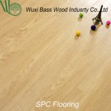Spc Flooring with Water-Proof in Competitive Price