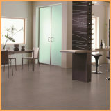 600X600 Grey Matt Full Body Sand Porcelain Floor Tile (BST6602)