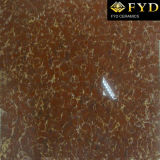 Pliate Polished Porcelain Floor / Wall Tile (FP6005, FP8005)