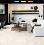600X600mm Decorative Glazed Porcelain Wall Tiles in China