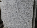 Bala White Polished/Flamed/Honed Granite Flooring Tile/Wall Tile/Paving Tile